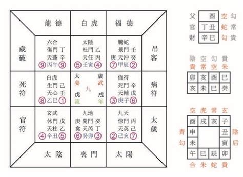 中環蛇頭|古庄辰玄學社